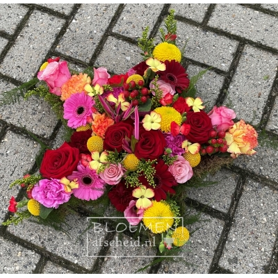 Ster van gemengde bont gekleurde bloemen