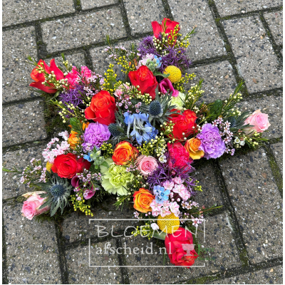 Ster van gemengde gekleurde bloemen