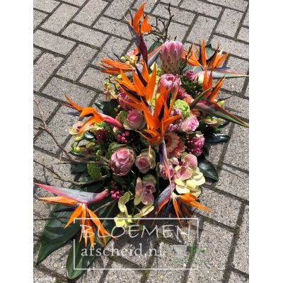 Ovaal arrangement van strelitzia's en protea's